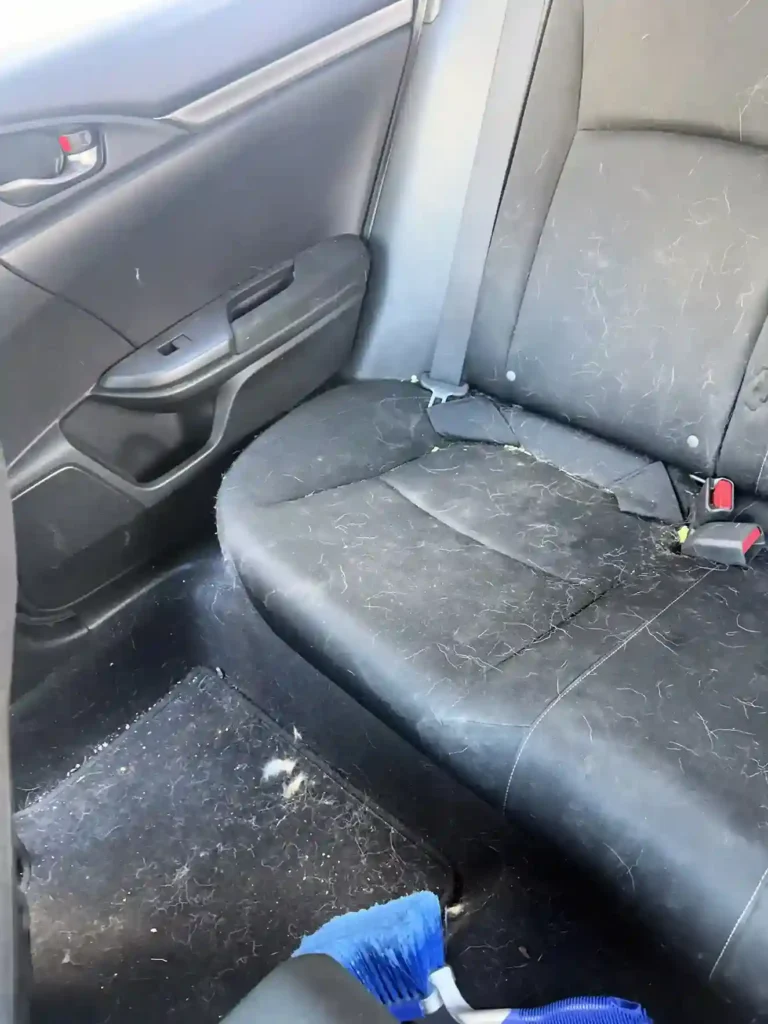 Black leather rear car seat heavily covered in embedded pet hair before removal 