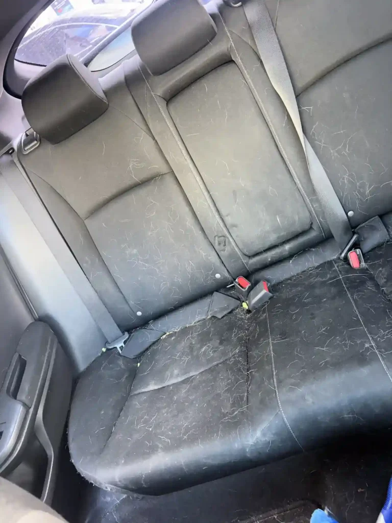 Close-up of fabric rear seats matted with pet hair during detailing treatment 